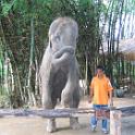Thailand (220)